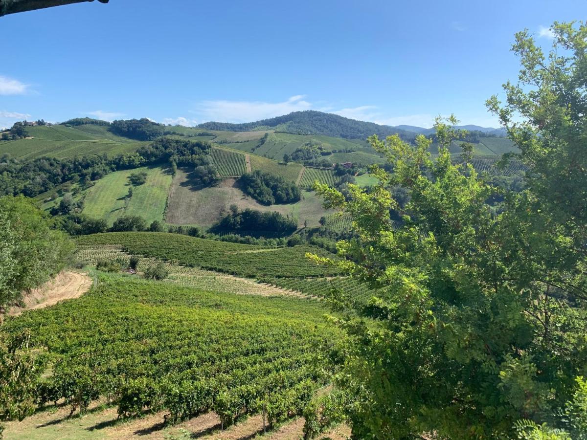 Agriturismo I Gessi Calvignano Dış mekan fotoğraf