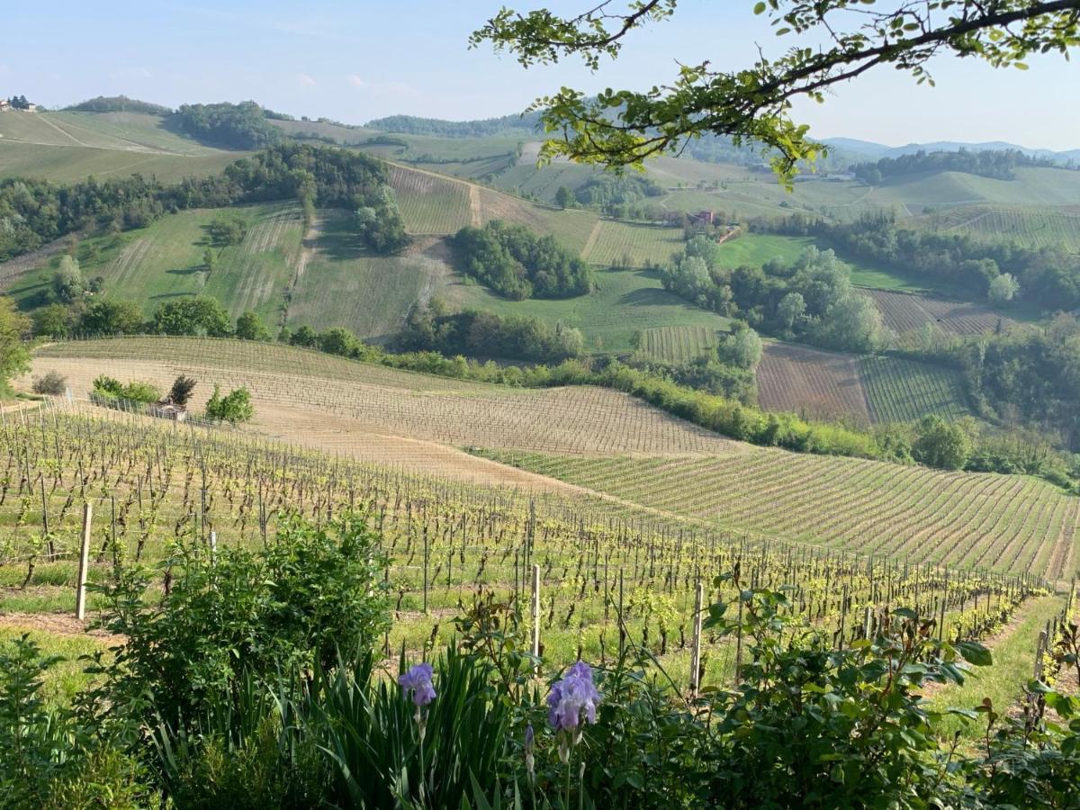 Agriturismo I Gessi Calvignano Dış mekan fotoğraf